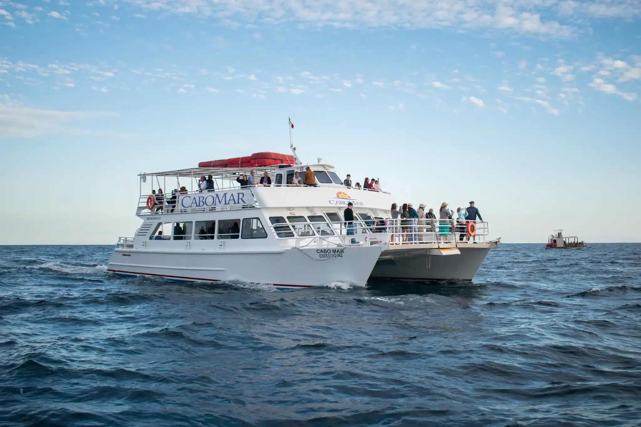 Cabomar Private Charter PezGato