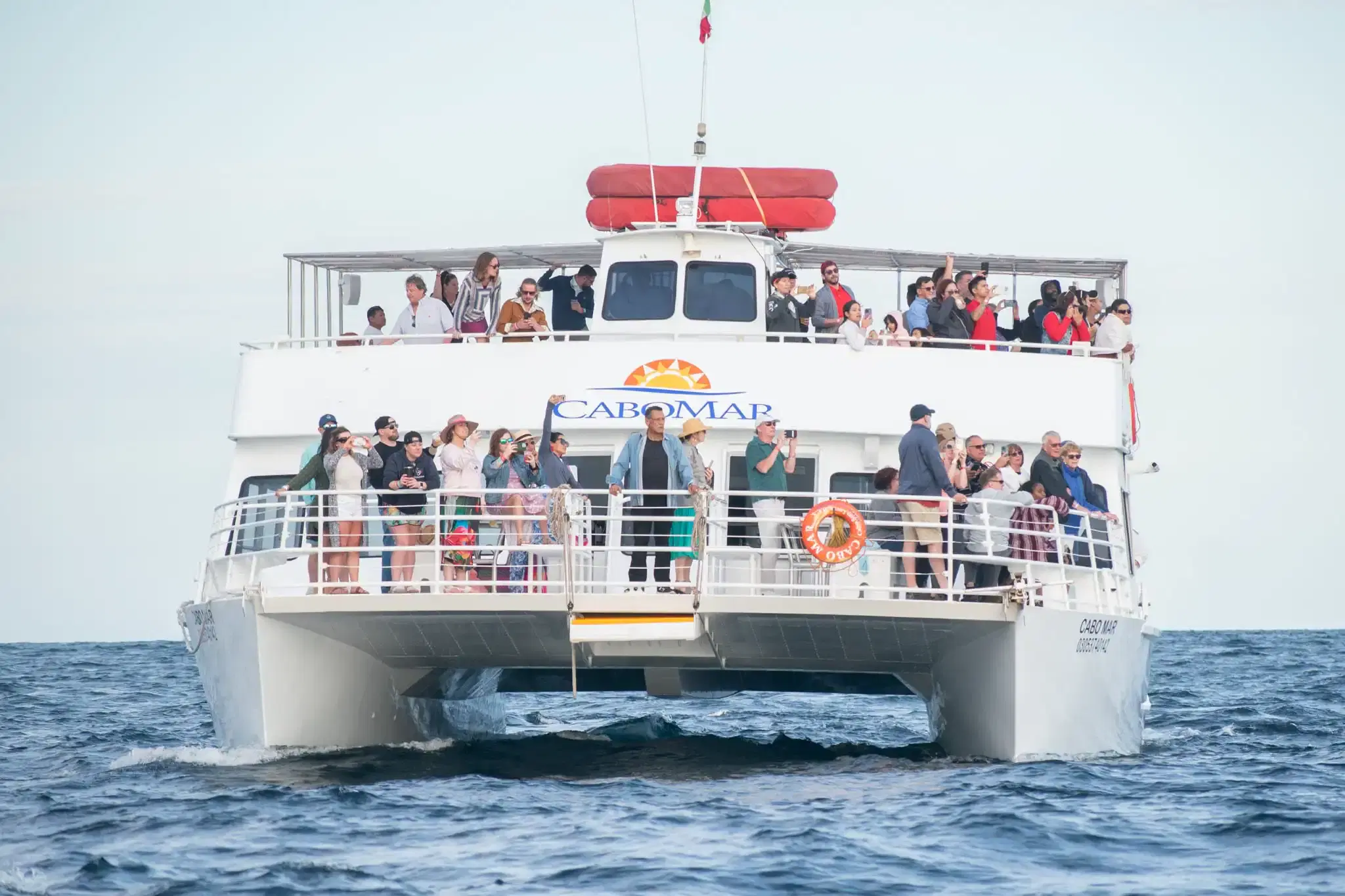 Cabomar Private Charter PezGato