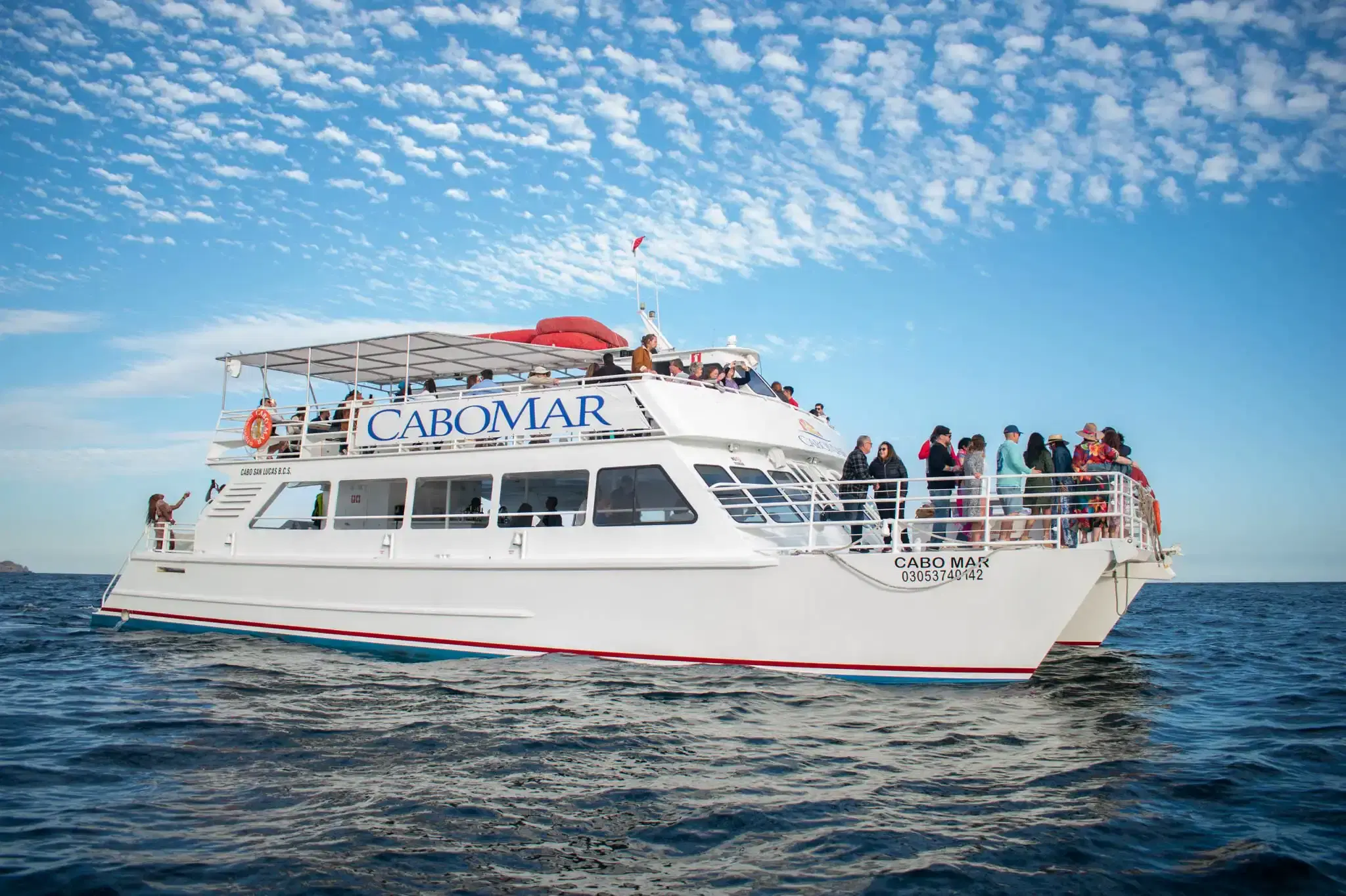 Cabomar Private Charter PezGato