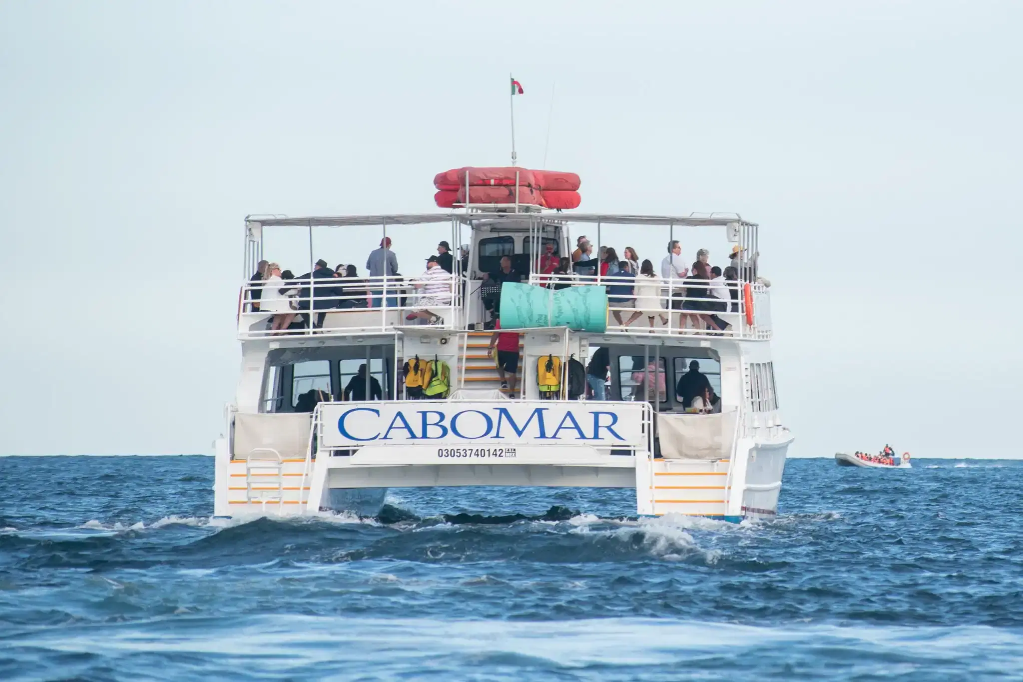 Cabomar Private Charter PezGato