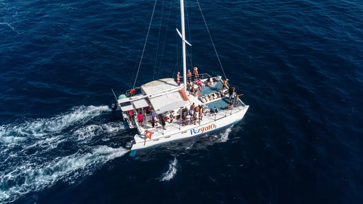 Pez Gato I Private Charter