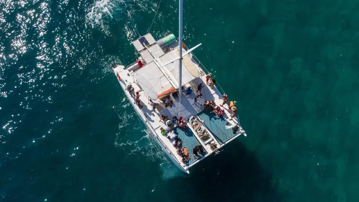 Pez Gato I Private Charter