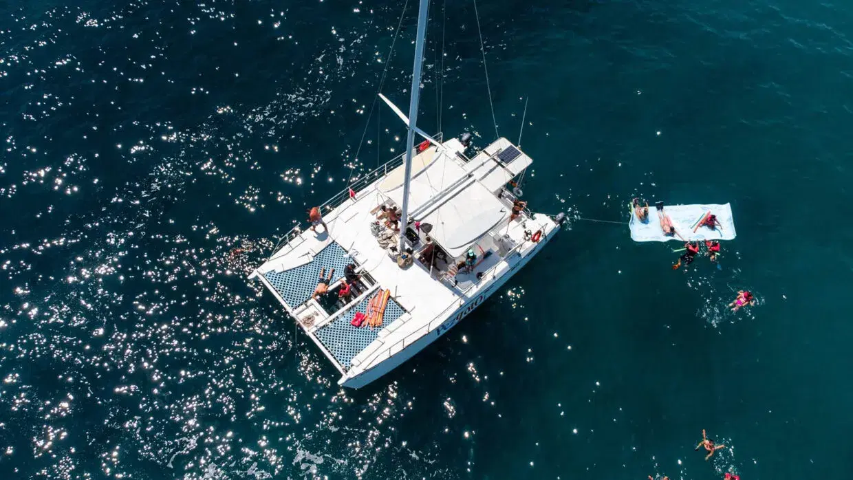 Pez Gato I Private Charter