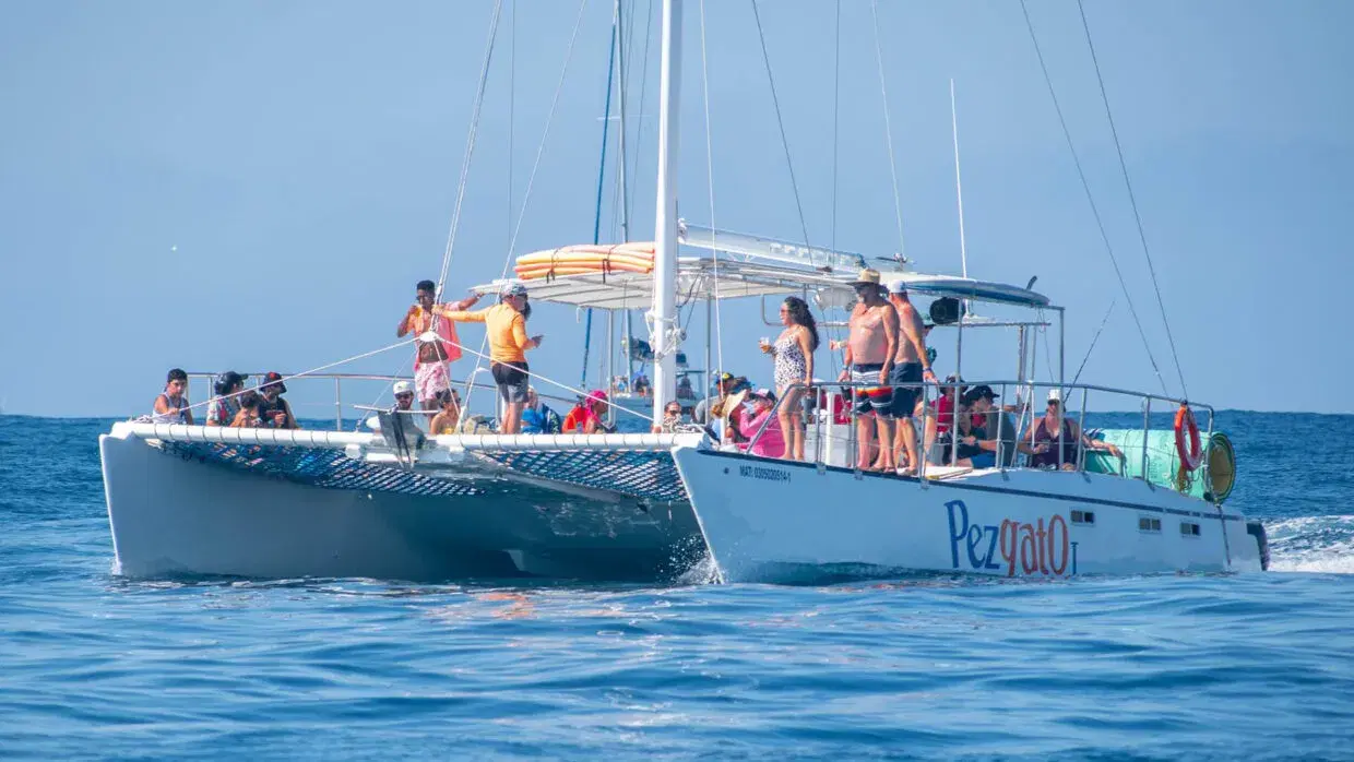 Pez Gato I Private Charter