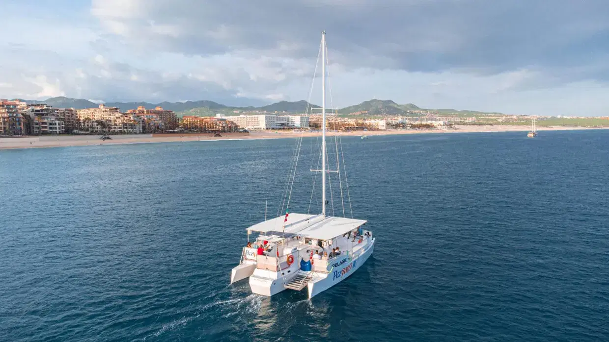 Pez Gato III Private Charter