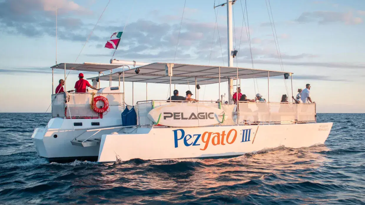 Pez Gato III Private Charter