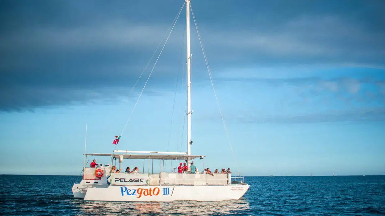 Pez Gato III Private Charter