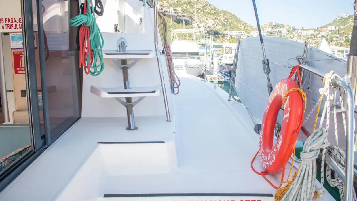 Sun Cat Private Charter