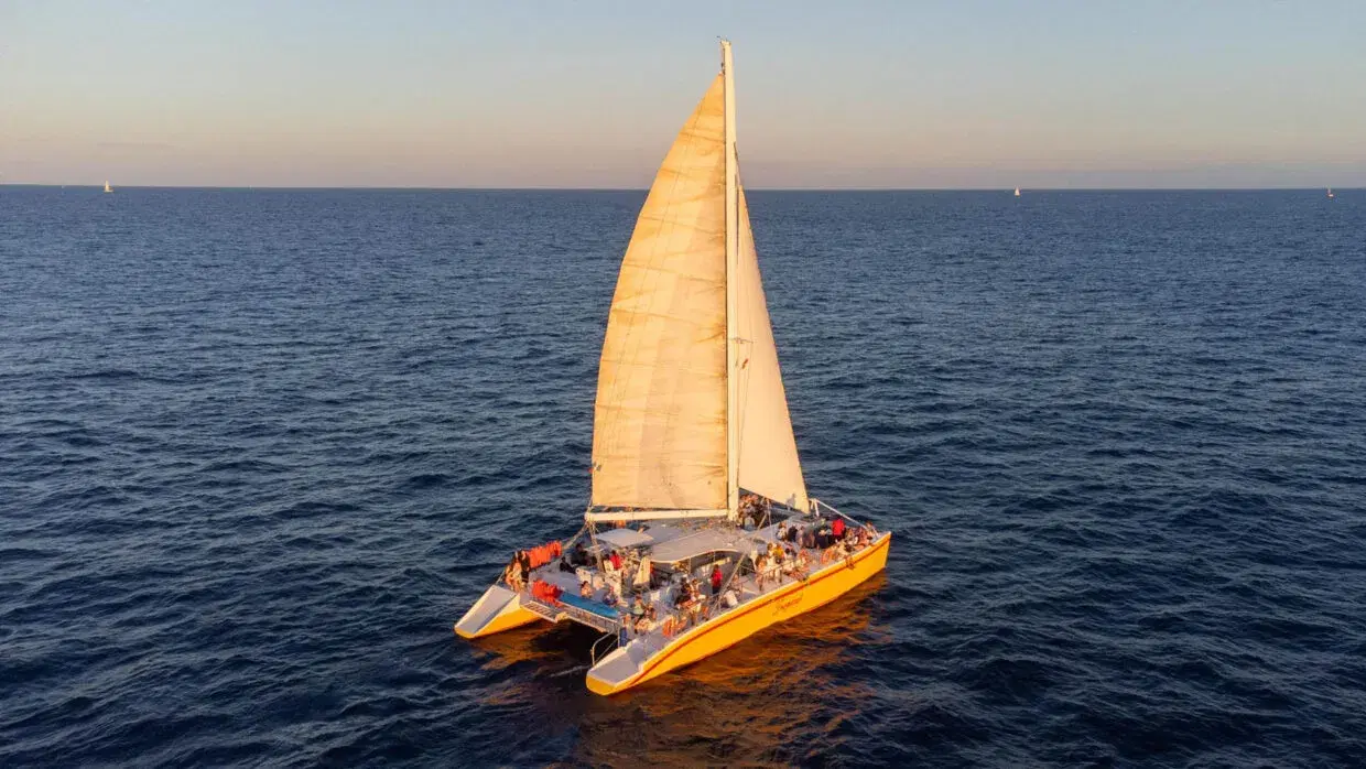 Tropicat Private Charter PezGato