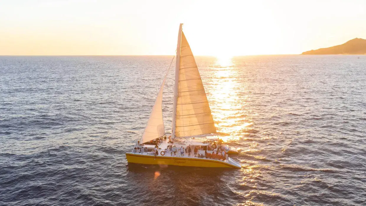 Tropicat Private Charter PezGato