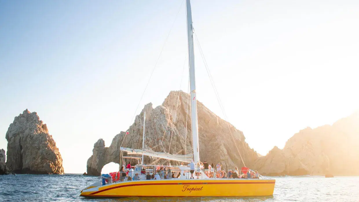 Tropicat Private Charter PezGato