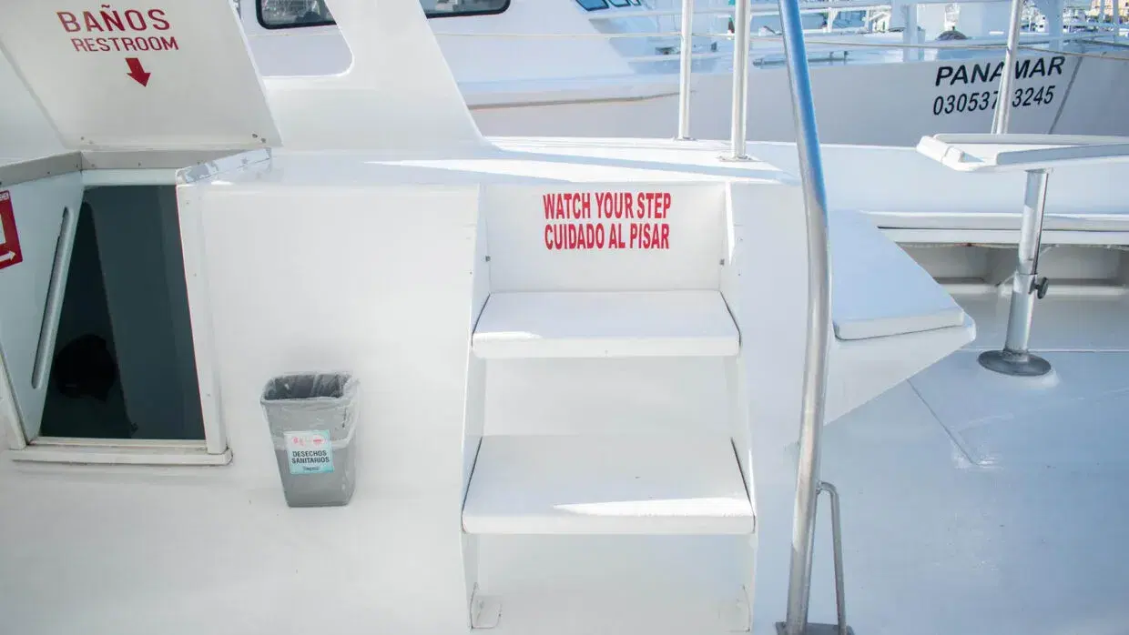 Tropicat Private Charter PezGato