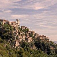 PezGato Amazing Adventures Review by Andrew