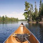 PezGato Amazing Adventures Review by Christine