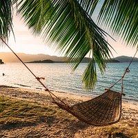 PezGato Amazing Adventures Review by Gary