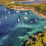 PezGato Amazing Adventures Review by Genie