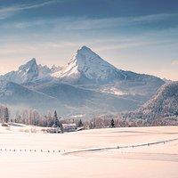 PezGato Amazing Adventures Review by Teresa