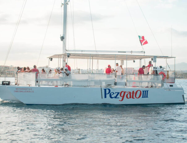 PezGato III Private Charter in Los Cabos
