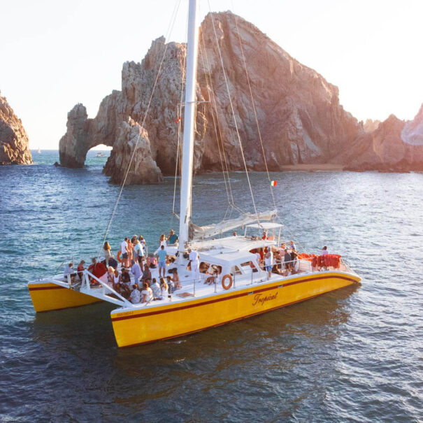 Tropicat Private Charter in Los Cabos