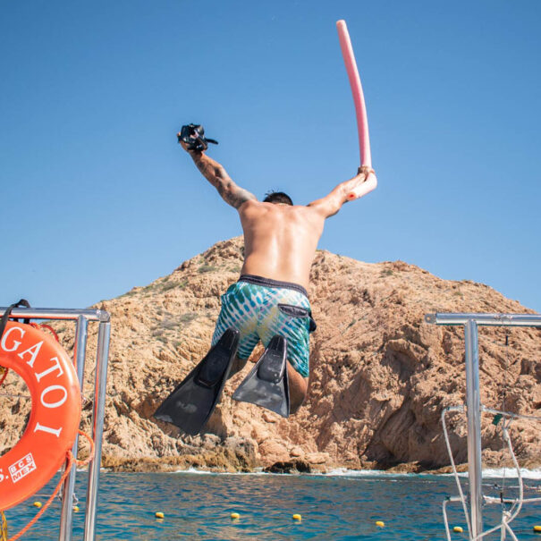 The Best Snorkeling Tour in Cabo